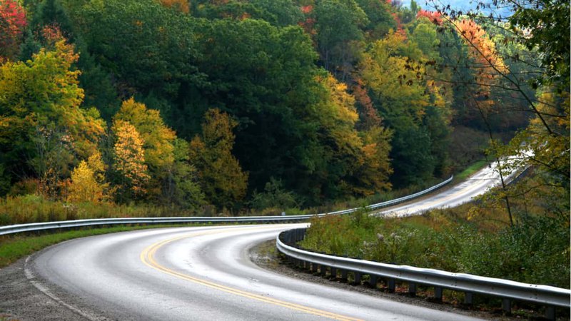 The corner of a scenic road with guardrails and trees leading towards a dentist, Lower Merion