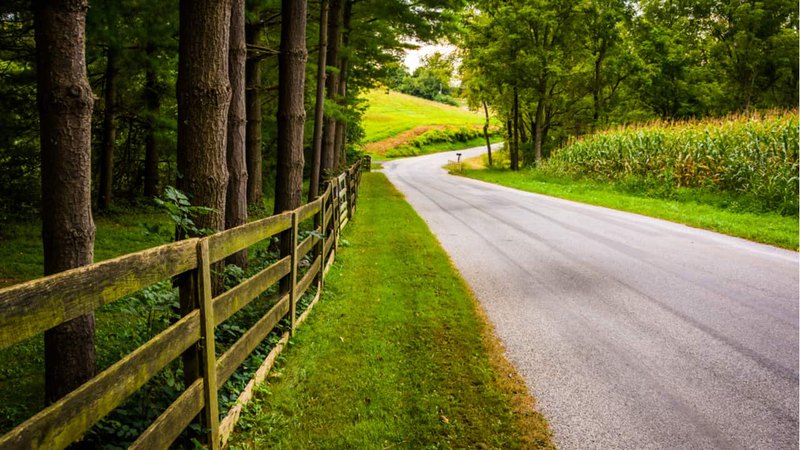 A road to pediatric dentistry center near Trappe, passing through a lush green landscape