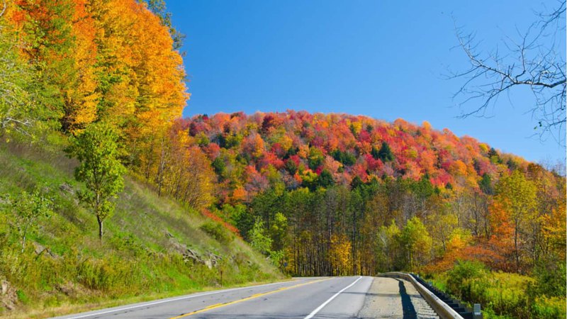 A road surrounded by fall trees on Route 6 i leading to dental center near East Norriton